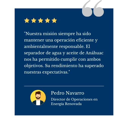 Testimonio de Pedro Navarro